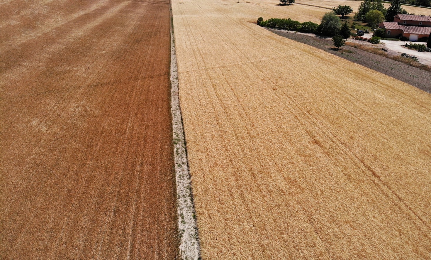 Como drones estão mudando a agricultura no Brasil
