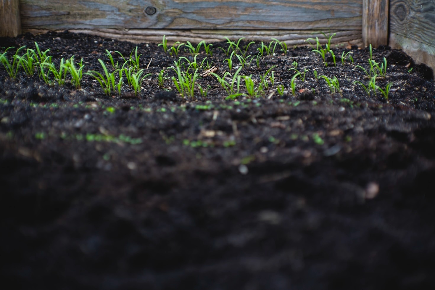 Sustentabilidade e tecnologia: uma parceria no campo