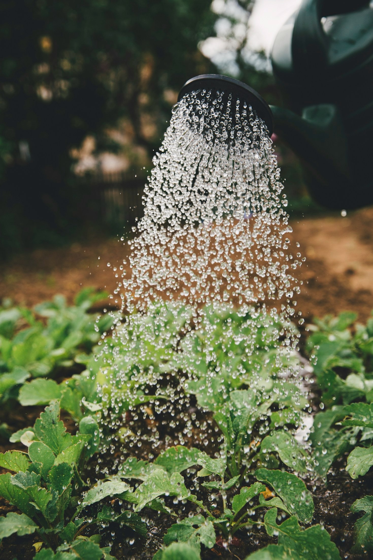 Automação agrícola: o presente e o futuro do setor